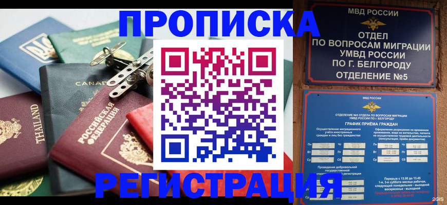 временная регистрация недорого в Талдоме